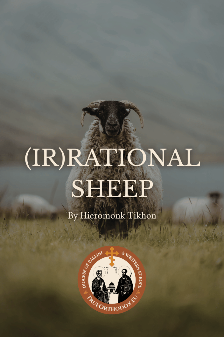 (Ir)rational Sheep by Hieromonk Tikhon